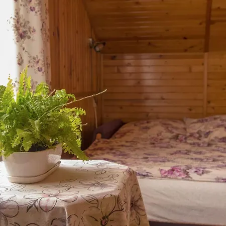 Chabry I Maki Проживание в семье